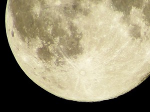 月面供養の月