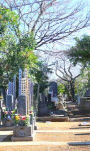 了俒寺　谷中墓苑　墓地　墓石