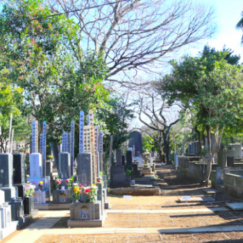 了俒寺　谷中墓苑　墓地　墓石