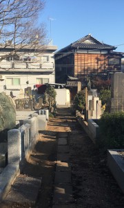 都立　谷中霊園 霊園　墓石