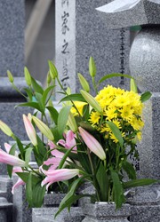 サンプル　墓石　boseki