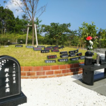 四万十・双海霊園　樹木葬　墓地　お墓