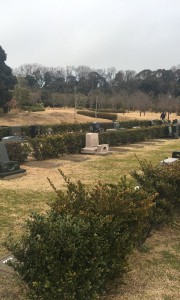 横須賀市営　公園墓地　芝墓所