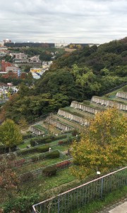 横浜日野墓苑 頂上からの眺め　墓地