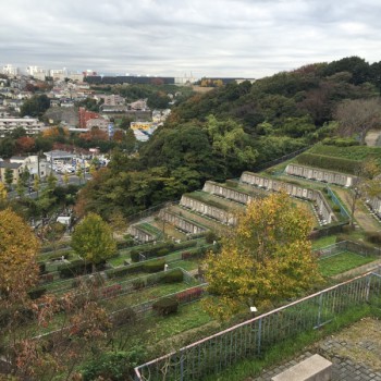 横浜日野墓苑 頂上からの眺め　墓地
