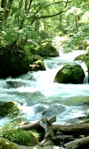 青森県十和田市　奥入瀬渓流