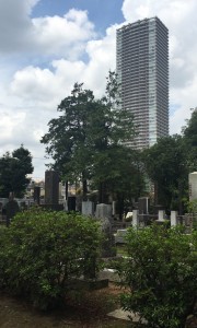 都立　雑司ヶ谷霊園　霊園　墓石