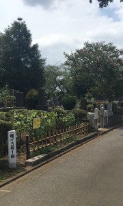都立　染井霊園　霊園　墓石