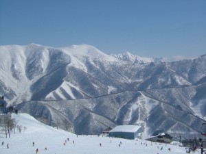 新潟県　ゲレンデ　雪　スキー場