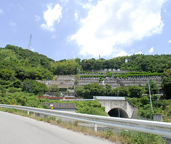 第二・荒倉霊園　樹木葬　高知市