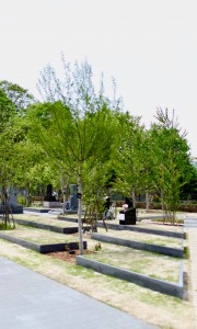 森林メモリアルヒルズ　霊園　墓地　お墓　墓石　樹木