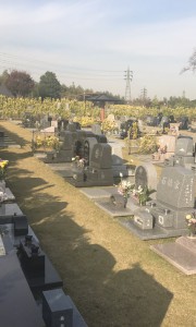 横浜あおば霊苑　樹木葬　墓石　樹木