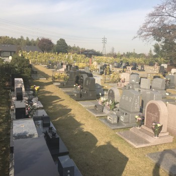 横浜あおば霊苑　樹木葬　墓石　樹木