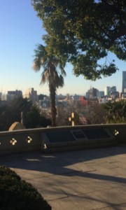 墓地　外国人墓地　石材　見晴らし　丘