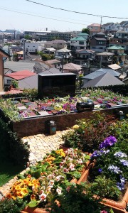 樹木葬　石材　墓石　お墓　花