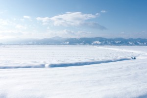 山形県　中山町　雪景色　雪