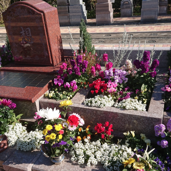 樹木葬　墓石　樹木　花　花壇　光