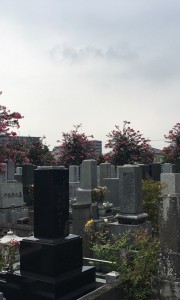 浄光寺墓地−基本−霊園全体写真