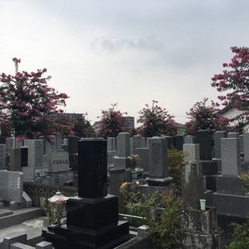浄光寺墓地−基本−霊園全体写真