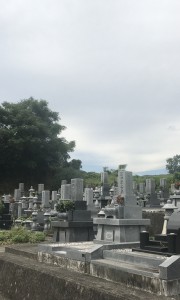 阿波市営　丸山墓地-基本-園内全体写真　墓地　石材　墓石　墓地