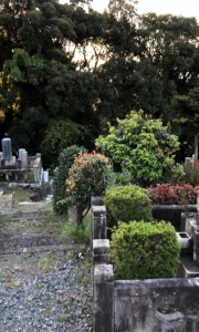 京都市営　大日山墓地　霊園　墓地　お墓　墓石